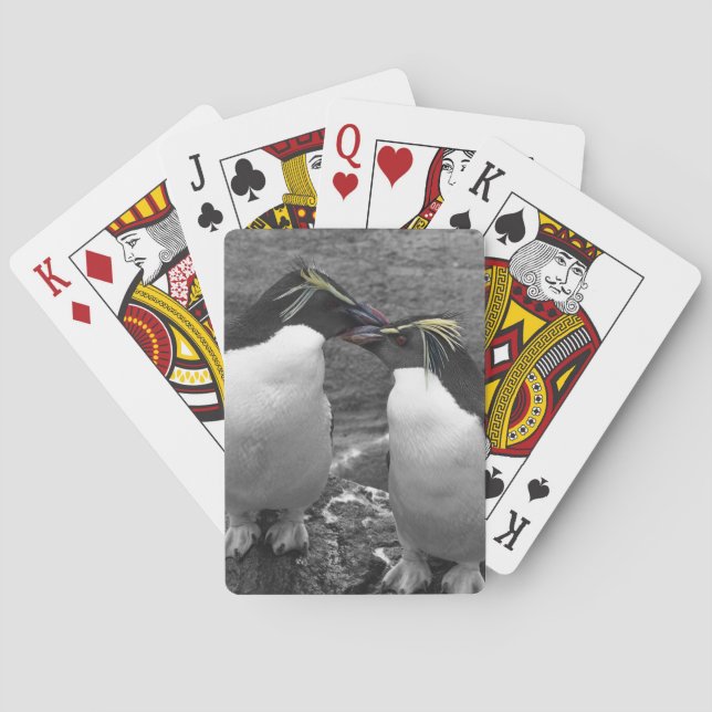 Baraja De Cartas Penguin Colour Splash (Reverso)