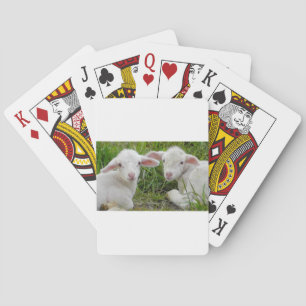 Baraja De Cartas Pensamiento animal del bebé gemelo del cordero en