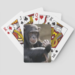 Baraja De Cartas Pensar en el jugueteo