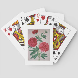 Baraja De Cartas Peonies, placa 46 del Nassau Florilegium (c/c)