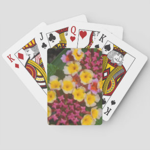 Baraja De Cartas Pequeñas flores tropicales amarillas con los