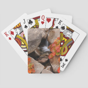 Baraja De Cartas Pequeño arroyo en otoño, California