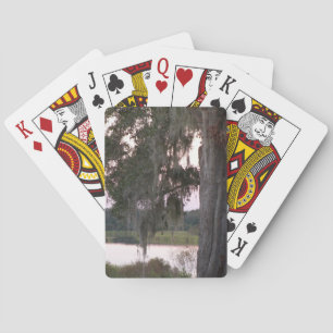 Baraja De Cartas Pequeño lago y árboles cubiertos de musgo
