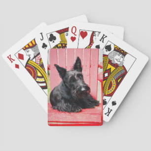Baraja De Cartas Pequeño Scottie en una Gran Silla Roja
