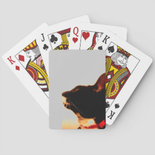 Baraja De Cartas Perfil de Lucy