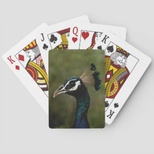 Baraja De Cartas Perfil del pavo real