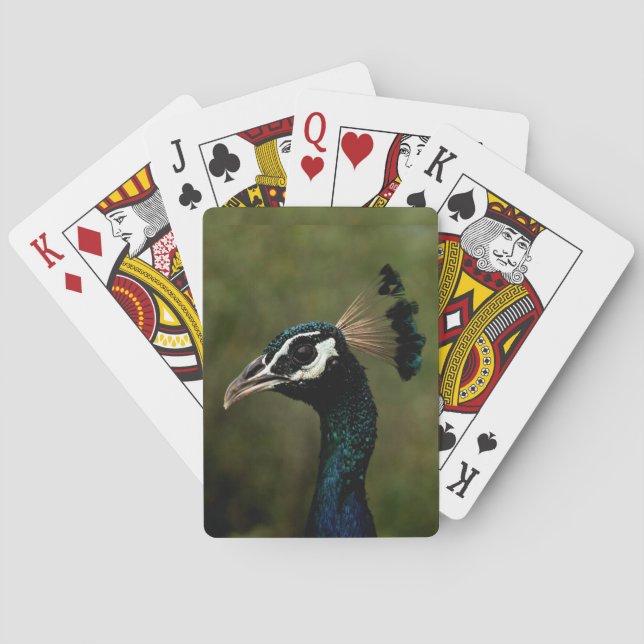 Baraja De Cartas Perfil del pavo real (Reverso)