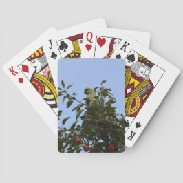 Baraja De Cartas Periquito verde