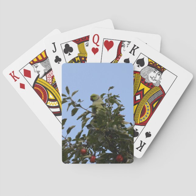 Baraja De Cartas Periquito verde (Reverso)