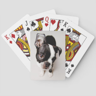 Baraja De Cartas Perrito de Edison Boston Terrier