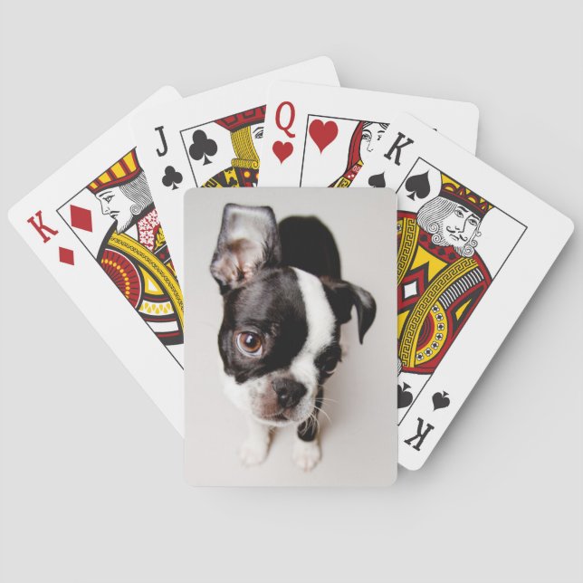 Baraja De Cartas Perrito de Edison Boston Terrier (Reverso)