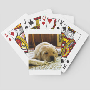Baraja De Cartas perrito de laboratorio amarillo 2