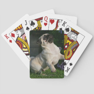 Baraja De Cartas Perrito del barro amasado del cervatillo
