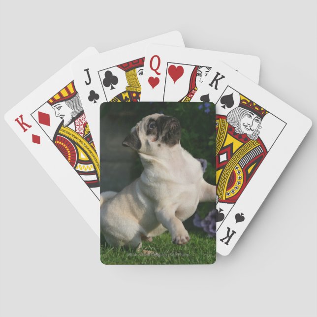 Baraja De Cartas Perrito del barro amasado del cervatillo (Reverso)