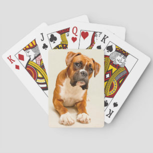 Baraja De Cartas Perrito del boxeador en el contexto poner crema de