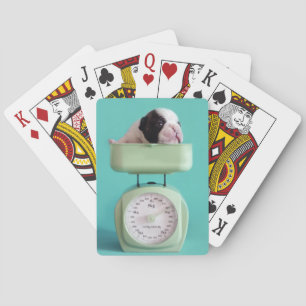 Baraja De Cartas Perrito del bulldog francés