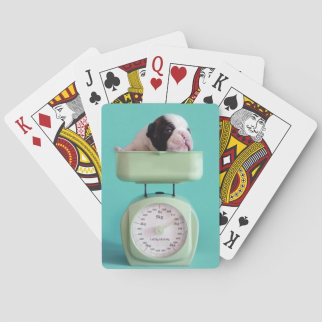 Baraja De Cartas Perrito del bulldog francés (Reverso)