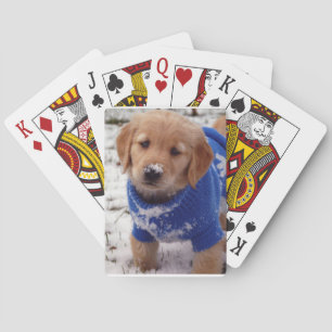 Baraja De Cartas Perrito del golden retriever