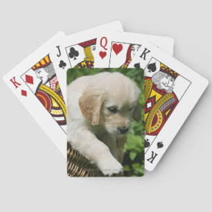 Baraja De Cartas Perrito del golden retriever en cesta