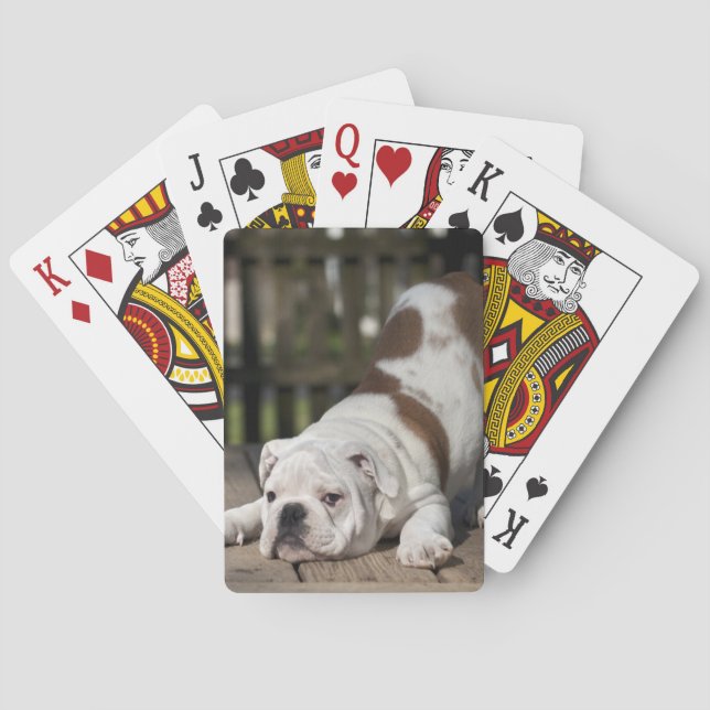 Baraja De Cartas Perrito inglés del bulldog (Reverso)