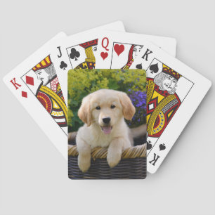 Baraja De Cartas Perrito lindo encantador de Goldie, juego