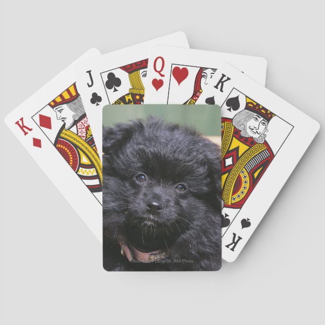 Baraja De Cartas Perrito negro de Pomeranian (Reverso)
