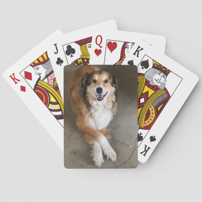 Baraja De Cartas Perro (Reverso)