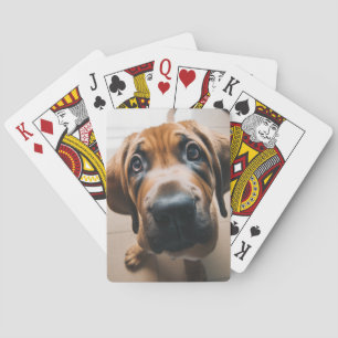 Baraja De Cartas Perro