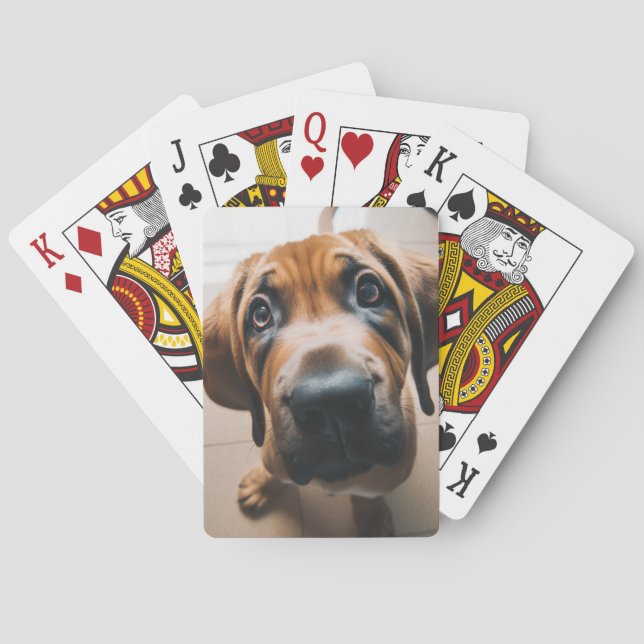 Baraja De Cartas Perro (Reverso)