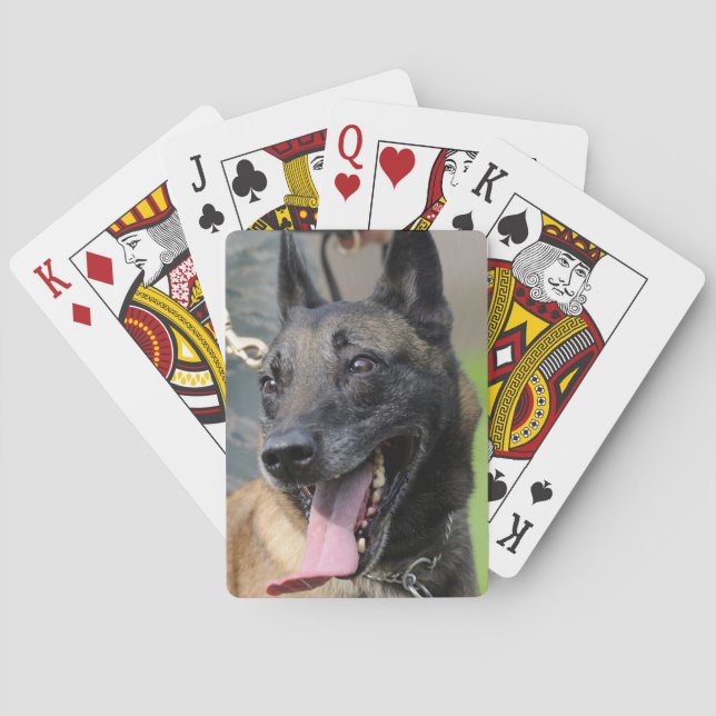 Baraja De Cartas Perro belga malinois sonriente (Reverso)