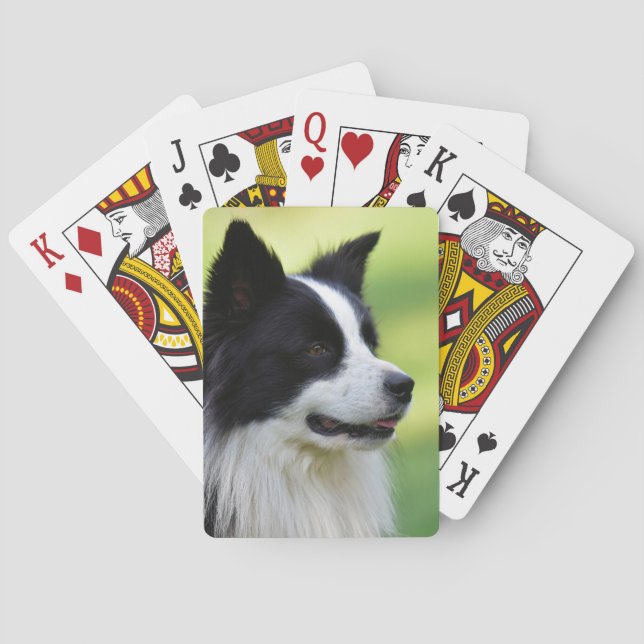 Baraja De Cartas Perro Border Collie negro y blanco (Reverso)