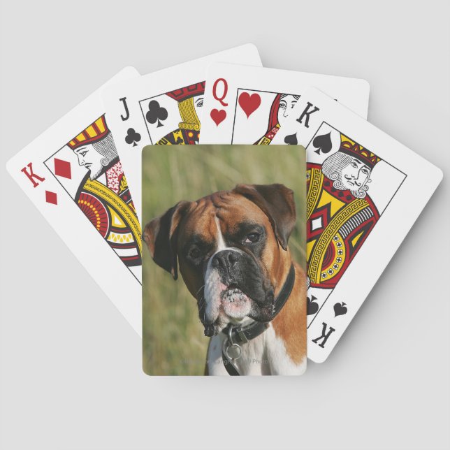 Baraja De Cartas Perro Boxer mirando la cámara (Reverso)