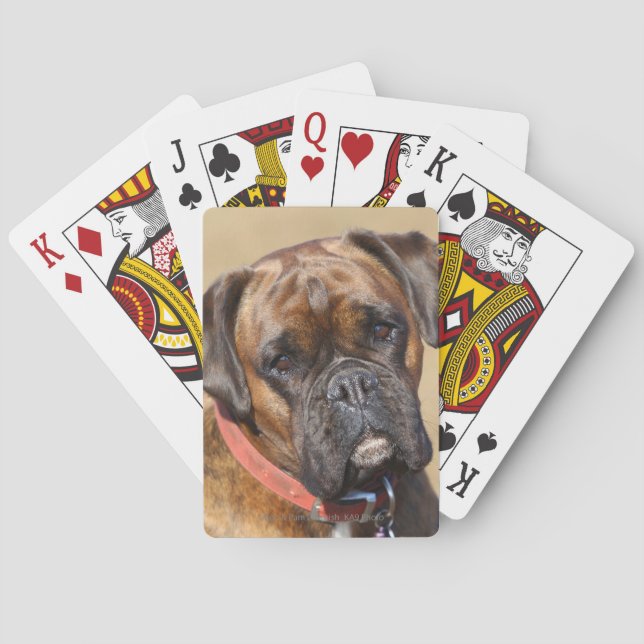 Baraja De Cartas Perro Brindle del boxeador (Reverso)