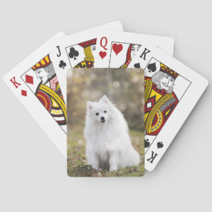 Baraja De Cartas Perro Cachorro Canino Perro Blanco Pelaje