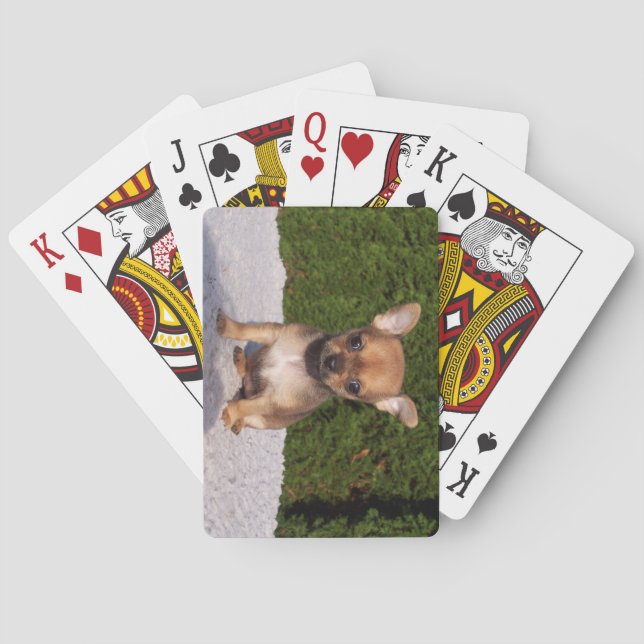 Baraja De Cartas Perro cachorro chihuahua (Reverso)