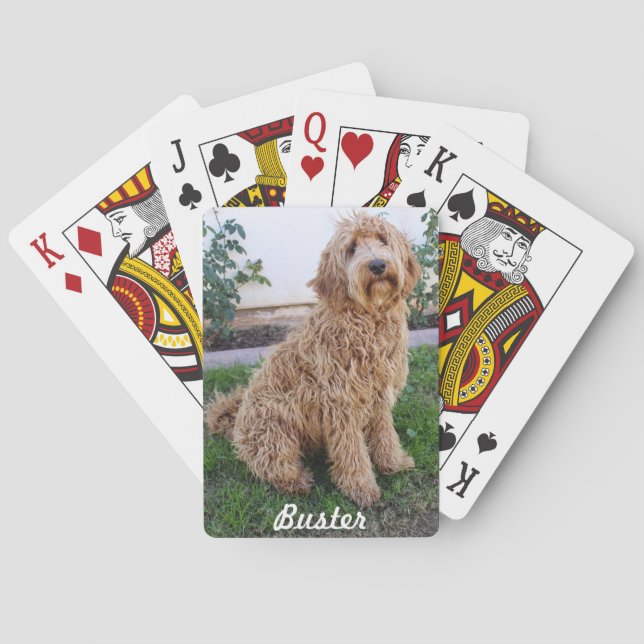 Baraja De Cartas Perro cachorro de Labradoodle (Reverso)