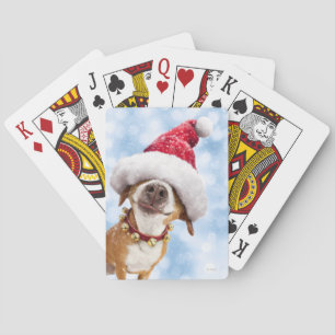 Baraja De Cartas Perro con gran sombrero Santa