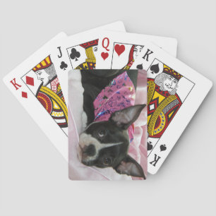 Baraja De Cartas Perro de cachorro de Boston Terrier