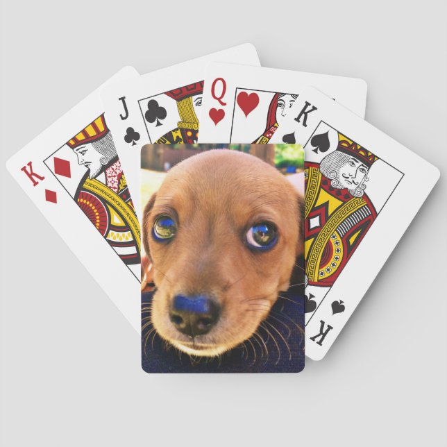 Baraja De Cartas Perro de cachorro de Dachshund marrón (Reverso)