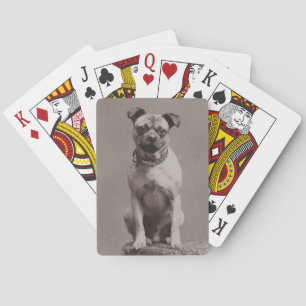 Baraja De Cartas Perro de época