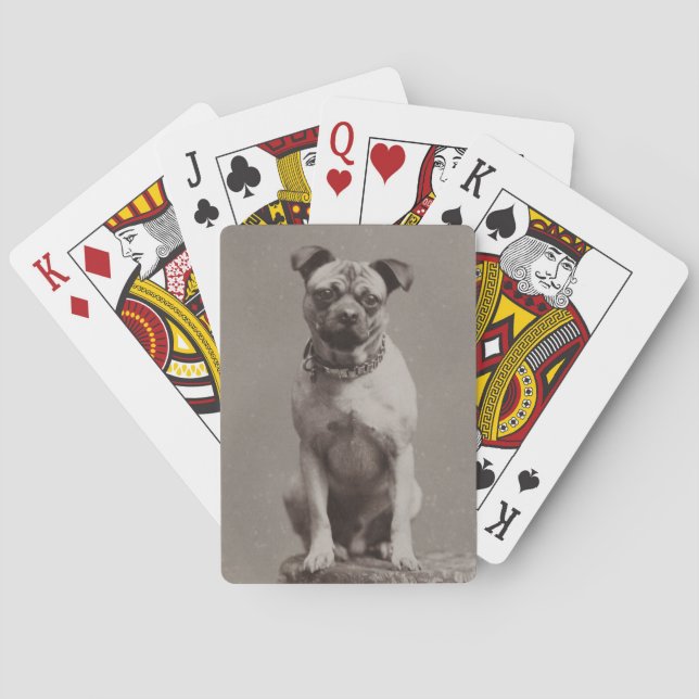 Baraja De Cartas Perro de época (Reverso)