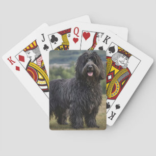 Baraja De Cartas Perro de oveja de color lana negra de Bergamasco,