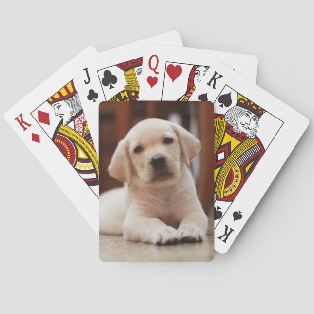 Baraja De Cartas Perro de perrito amarillo de Labrador del bebé que (Reverso)