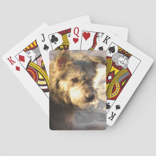 Baraja De Cartas Perro de playa tailandés (Reverso)