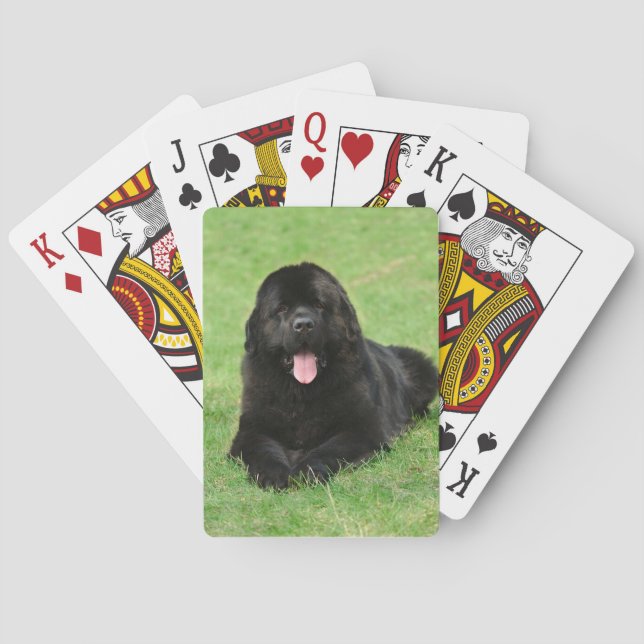 Baraja De Cartas Perro de Terranova (Reverso)