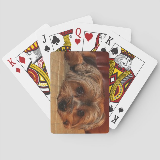 Baraja De Cartas Perro de terror de Cute Yorkshire Yorkie Puppy (Reverso)