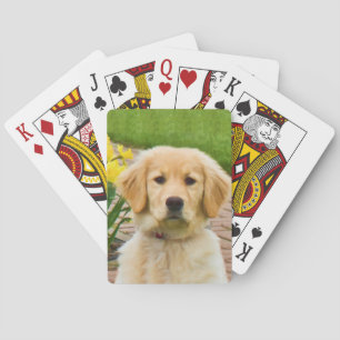 Baraja De Cartas Perro del golden retriever