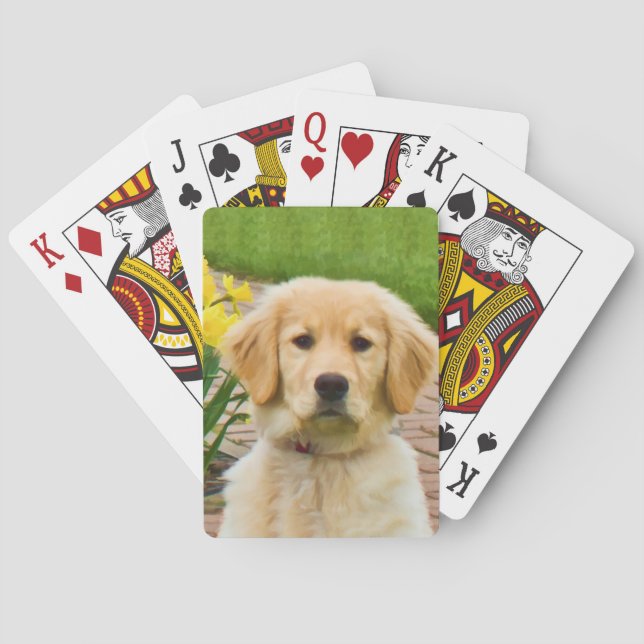 Baraja De Cartas Perro del golden retriever (Reverso)