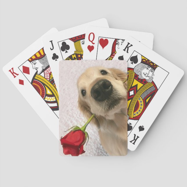 Baraja De Cartas Perro del golden retriever con el rosa rojo (Reverso)