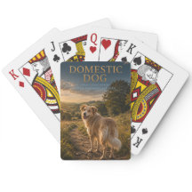 Perro Doméstico Camino Campestre ANIMALES Póker